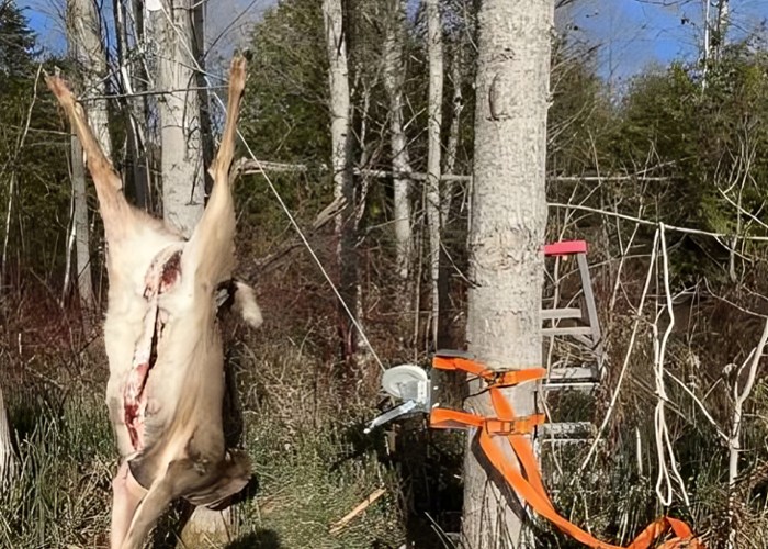 Hunting Ladder Stand